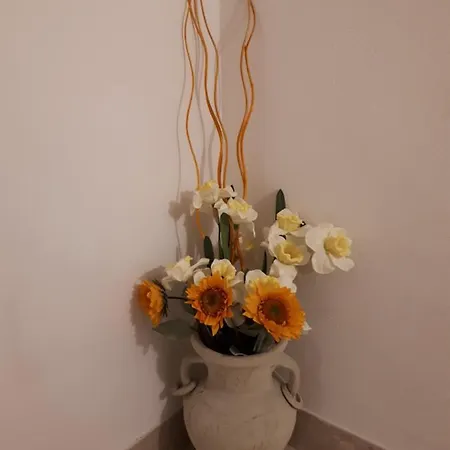 彩虹甜蜜旅馆 4*