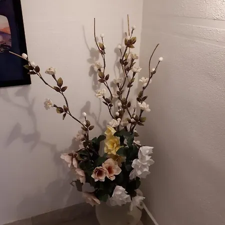 招待所 彩虹甜蜜旅馆 瓦尔蒙托内